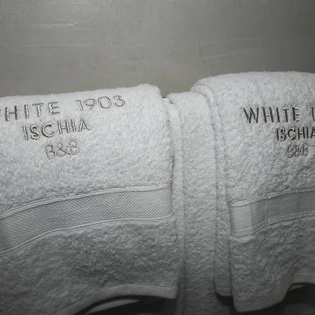 White 1903 Forio di Ischia
