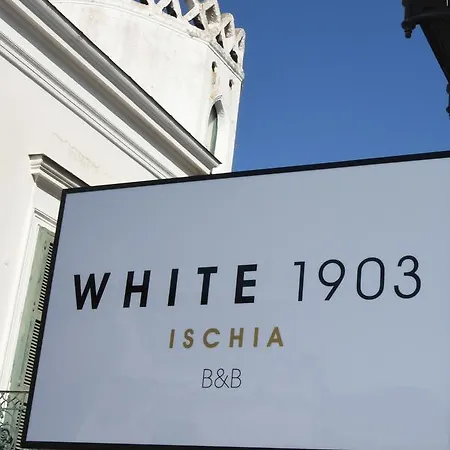White 1903 2*